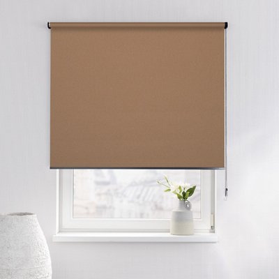 Rulou Classic în colecție Blackout – rulouri textile, țesătură: MGR066