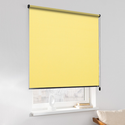 Rulou Classic în colecție Blackout – rulouri textile, țesătură: MGR210