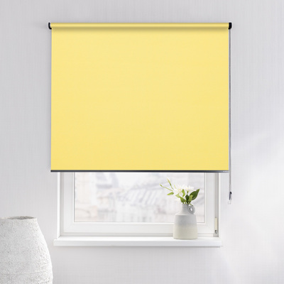 Rulou Classic în colecție Blackout – rulouri textile, țesătură: MGR210