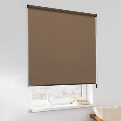 Rulou Classic în colecție Blackout – rulouri textile, țesătură: MGR216