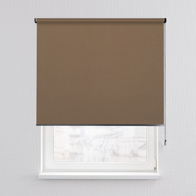 Rulou Classic în colecție Blackout – rulouri textile, țesătură: MGR216