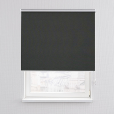 Rullegardiner fra kolleksjonen Rullegardiner - Blackout Silver, Stoffets bredde: 069