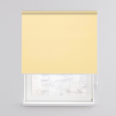 Rulou Classic în colecție Blackout – rulouri textile, țesătură: MGR057