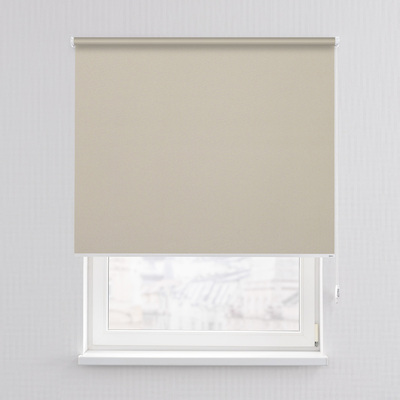 Rulou Classic în colecție Blackout – rulouri textile, țesătură: MGR203
