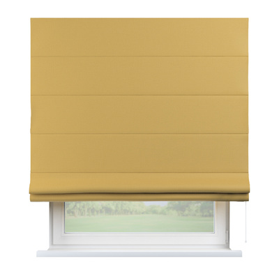 Capri Roman blind in collection Dimout, fabric: 269-86