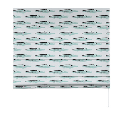 Billie roman blind in collection Magic Collection, fabric: 500-11