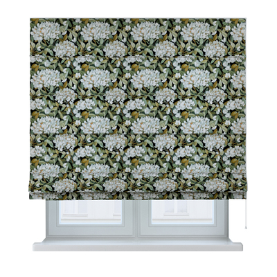Roleta rzymska Capri w kolekcji Botanic Viscose, tkanina: 145-19