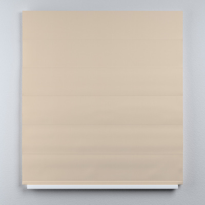 Double layered Roman blind DUO in collection Dimout, fabric: 269-83