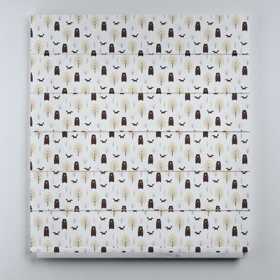 Voile and fabric roman blind (DUO II) in collection Magic Collection, fabric: 500-19