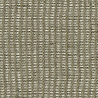 Kod tkaniny 145-49