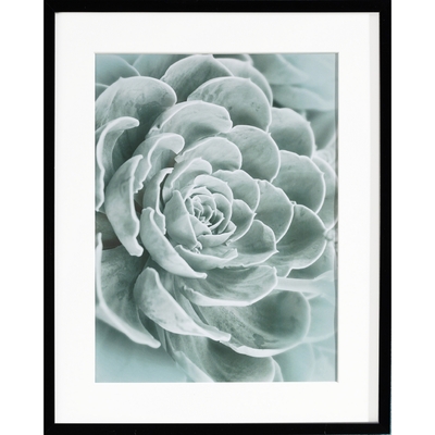 Obraz Succulents I 40x50cm