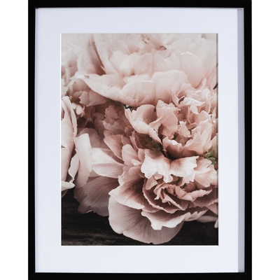 Obraz Peony Sunset I 40x50cm 40x50cm