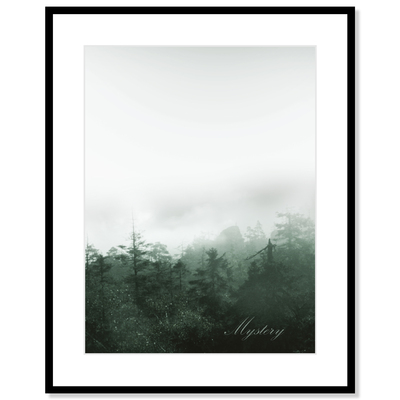 Framed picture Mystery, 40x50cm