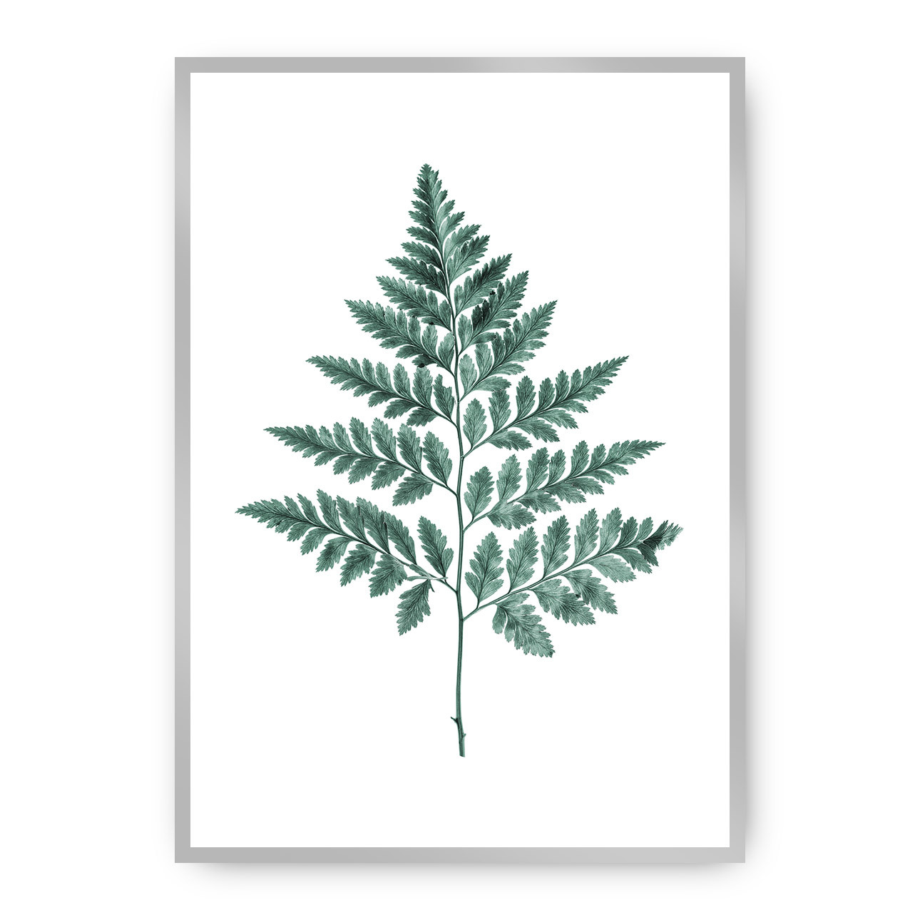 Dekoria Plakát Fern Emerald Green, 21 x 30 cm, Ramka: Srebrna