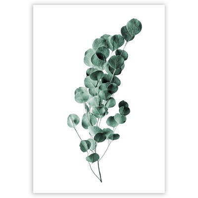 Poster Eucalyptus Emerald Green