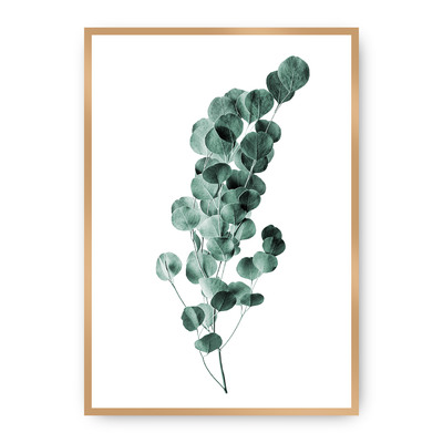 Plakát Eucalyptus Emerald Green 21 x 30 cm
