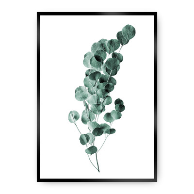 Plakát Eucalyptus Emerald Green 21 x 30 cm