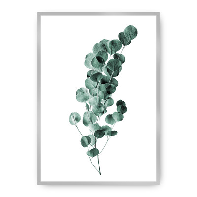 Plakát Eucalyptus Emerald Green 30 x 40 cm