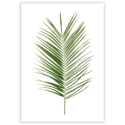 Plakát Palm Leaf Green 30 x 40 cm