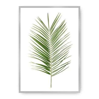 Plakát Palm Leaf Green 21 x 30 cm