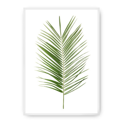 Plakát Palm Leaf Green 21 x 30 cm