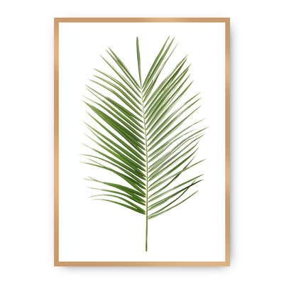 Plakát Palm Leaf Green 30 x 40 cm