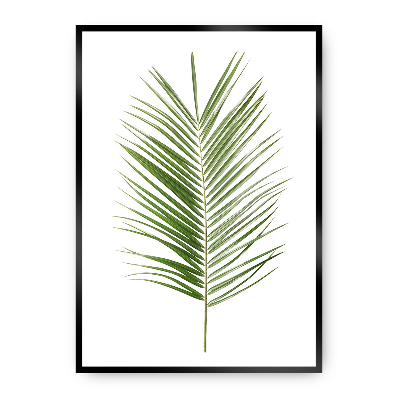 Plakát Palm Leaf Green