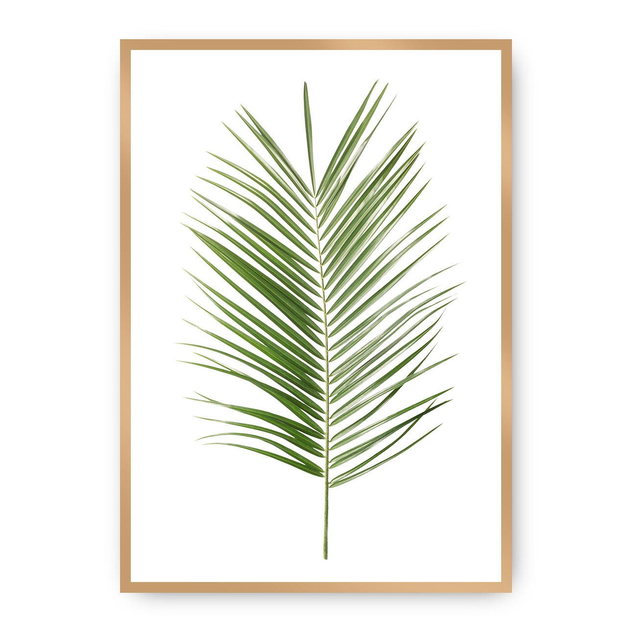 Plakát Palm Leaf Green