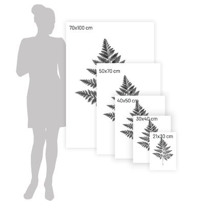 Poster Fern Grey 30 x 40 cm