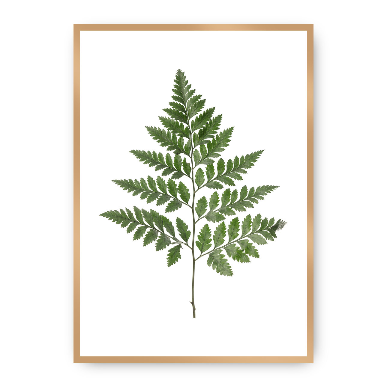 Dekoria Plakát Fern Green, 21 x 30 cm, Volba rámu: zlatý