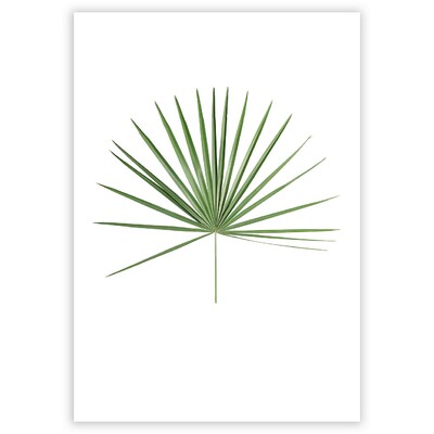 Plakát Tropical Leaf Green 30 x 40 cm