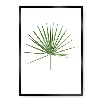 Plakát Tropical Leaf Green 21 x 30 cm