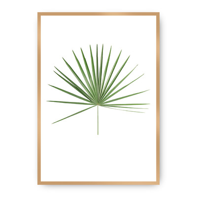 Plakát Tropical Leaf Green 30 x 40 cm