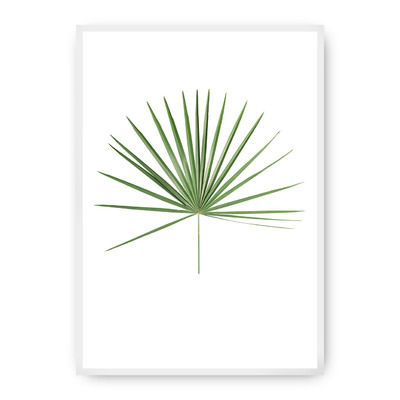 Plakát Tropical Leaf Green 30 x 40 cm