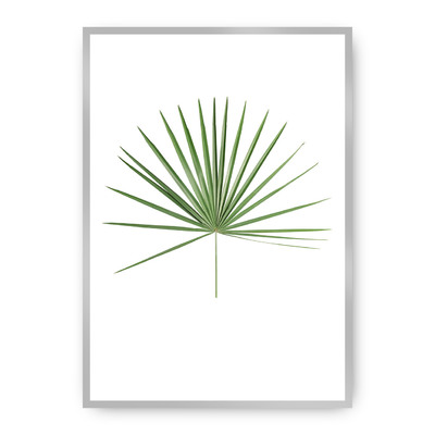 Plakát Tropical Leaf Green 40 x 50 cm