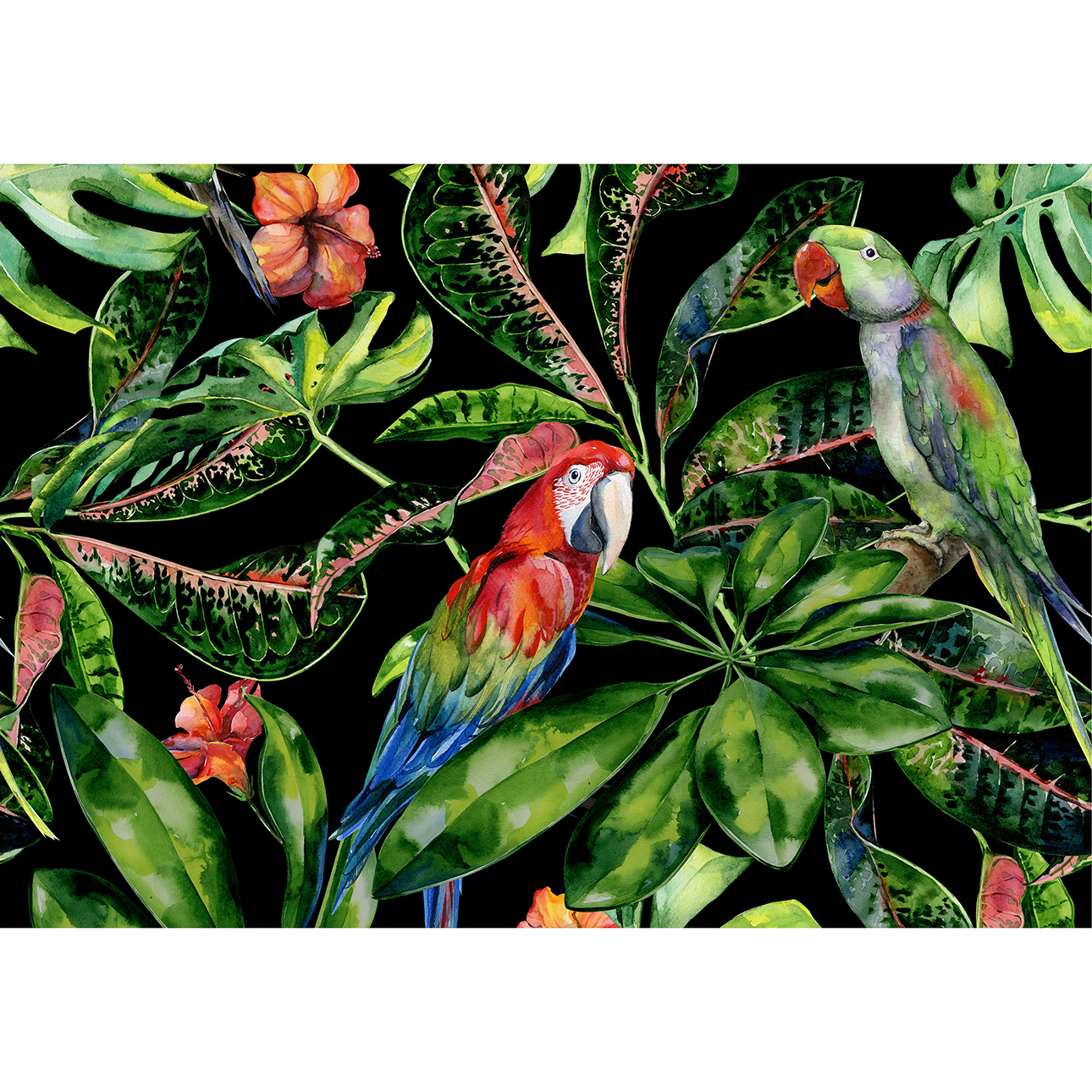 Dekoria Obraz na płátně Tropical Birds, 70 x 50 cm