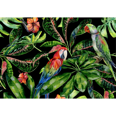 Obraz na płátně Tropical Birds 100 x 70 cm