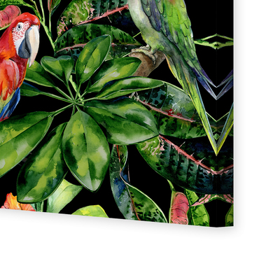 Obraz na płátně Tropical Birds 100 x 70 cm