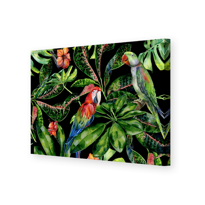 Obraz na płátně Tropical Birds 100 x 70 cm