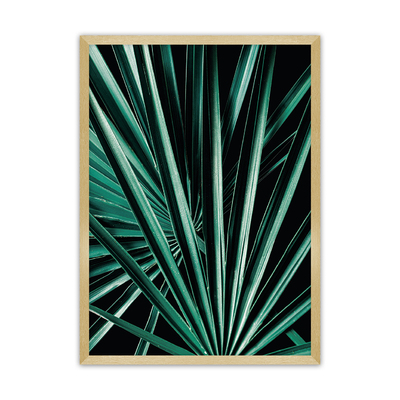 Plakát Dark Palm Tree 21 x  30 cm