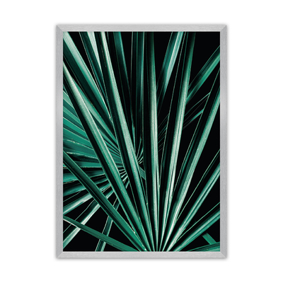 Plakát Dark Palm Tree 21 x  30 cm