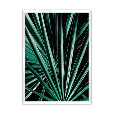 Plakát Dark Palm Tree 21 x  30 cm