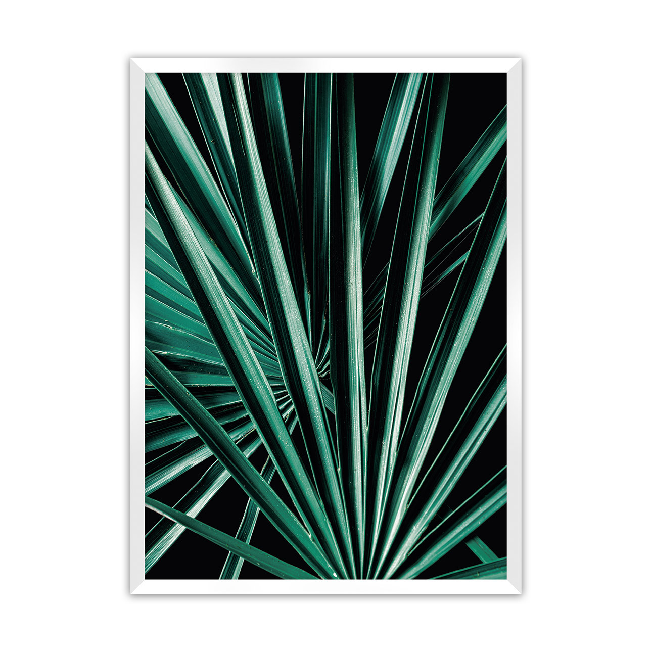 Dekoria Plakát Dark Palm Tree, 30 x 40 cm, Volba rámku: Bílý