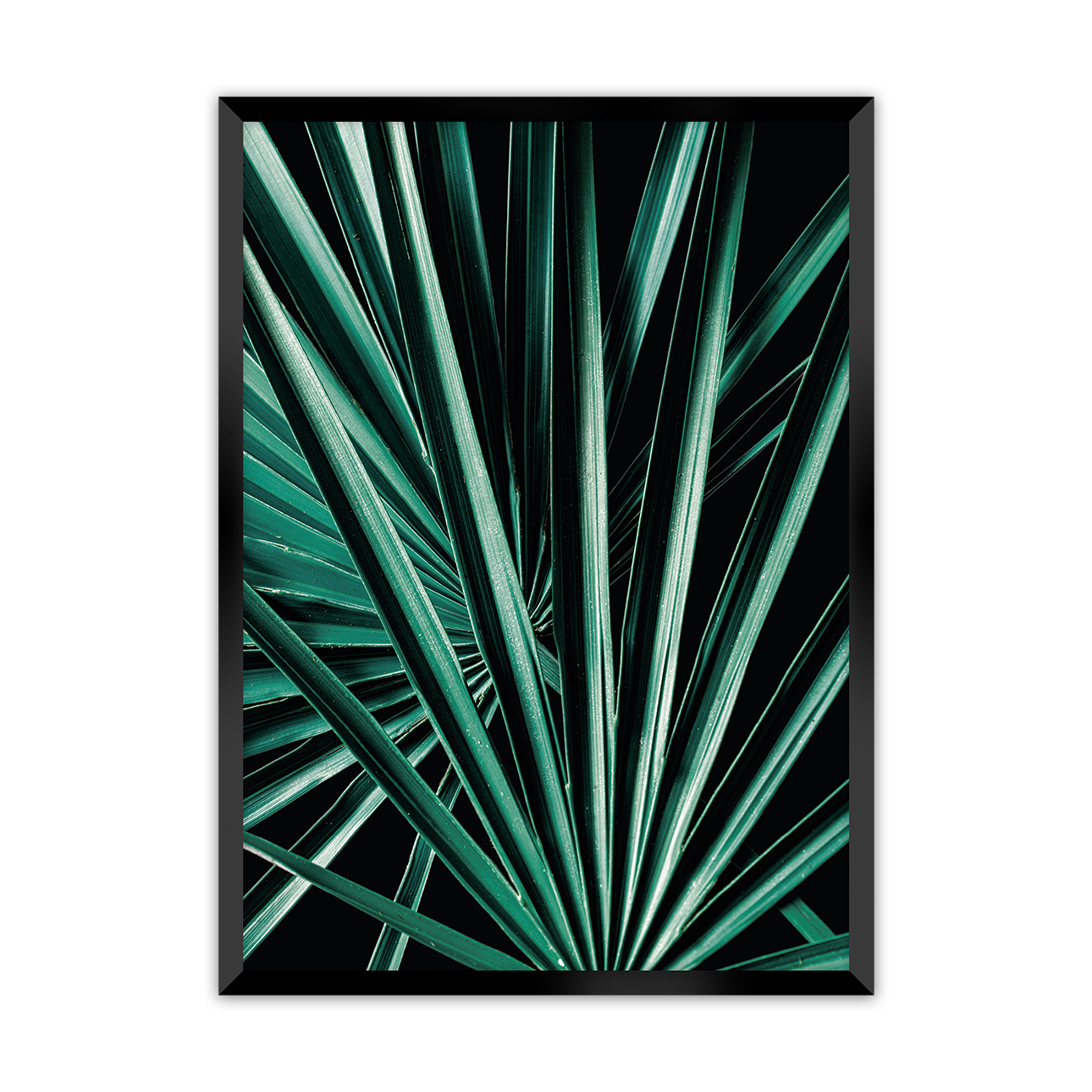 Poster Dark Palm Tree, 40 x 50 cm , Rahmen wählen: schwarz günstig online kaufen
