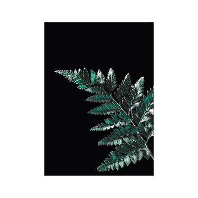 Poster Dark Fern Leaf