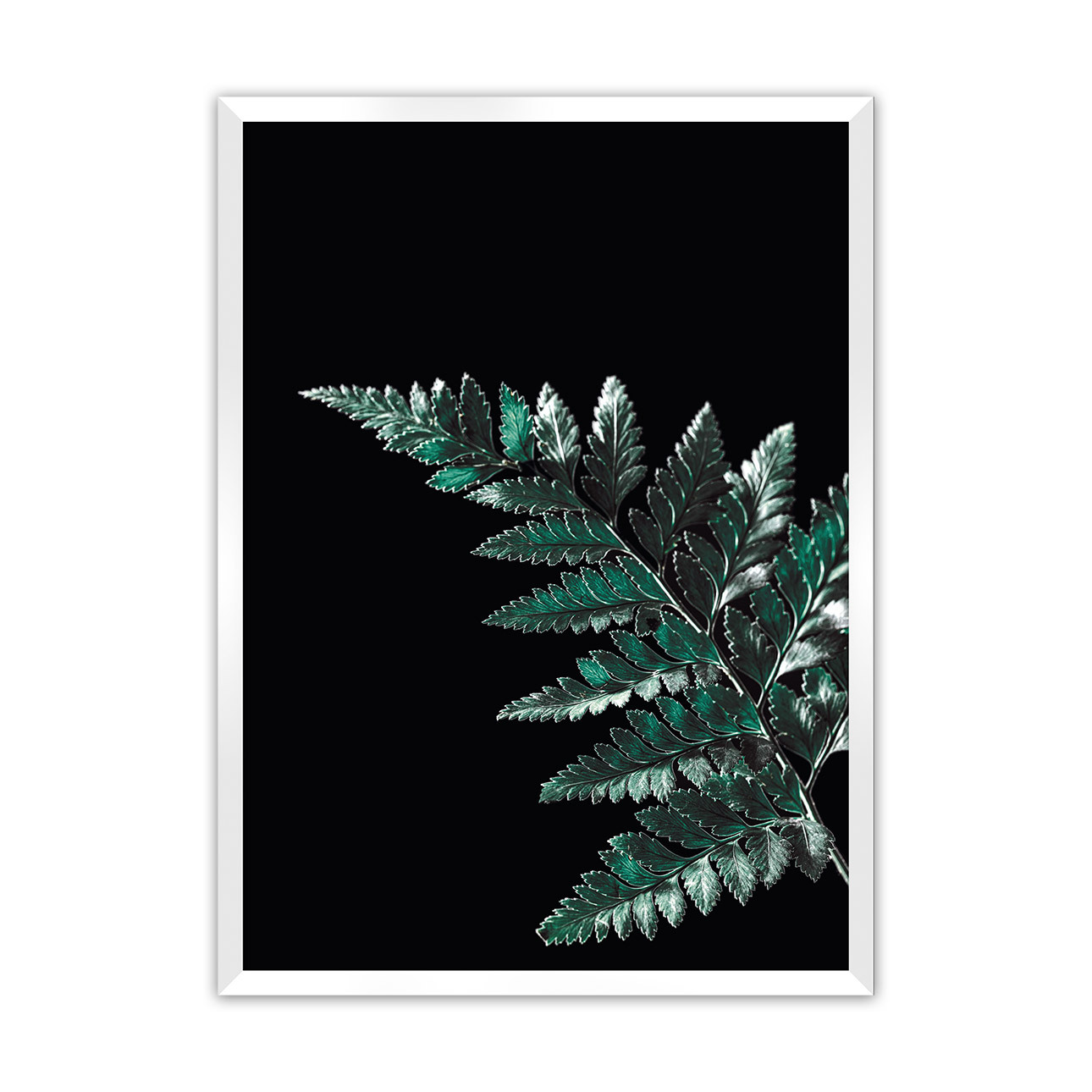 Dekoria Plakát Dark Fern Leaf, 21 x 30 cm, Volba rámku: Bílý