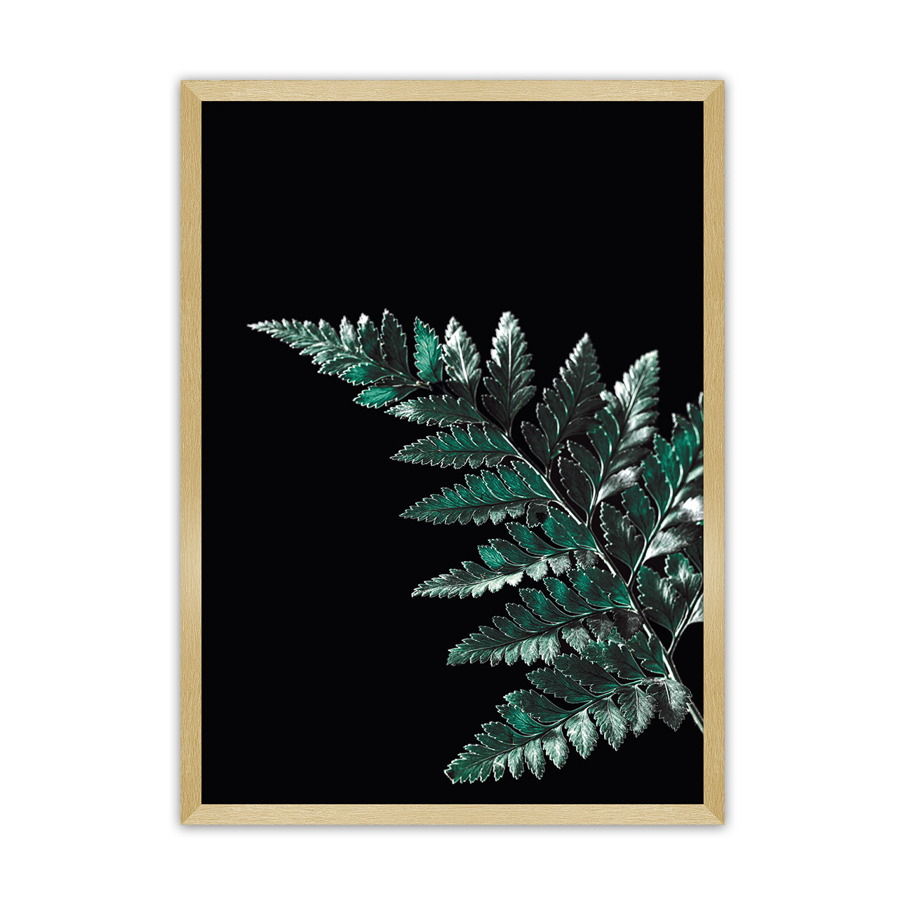 Dekoria Plakát Dark Fern Leaf, 70 x 100 cm, Volba rámku: Zlatý