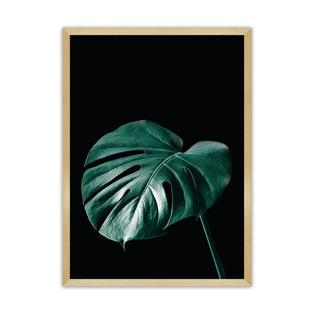 Dekoria Plakát Dark Monstera, 30 x 40 cm, Volba rámku: Zlatý