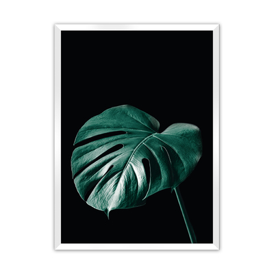 Plakát Dark Monstera 40 x 50 cm