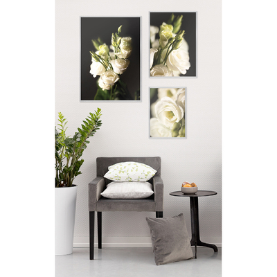 Plakát Flower Wall 30 x 40 cm